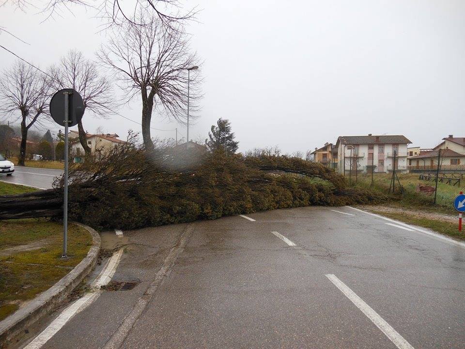 San Giustino tempesta vento 05 marzo 2015